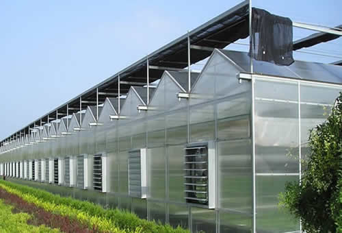 天津市鑫域隆鋼鐵有限公司